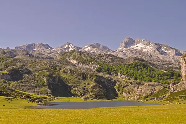Picos de Europa as a sightseeing activity to do for your Cantabrian chamois tourism