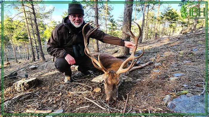 Hunter with his red deer trophy hunt in Spain