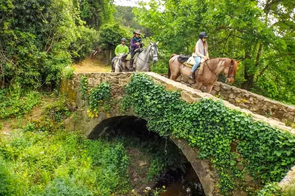 Enjoy a great day riding horse as sightseeing for Gredos ibex tourism