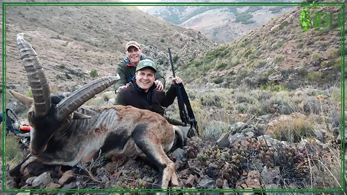 Hunter and southeastern ibex hunting trophy in Spain