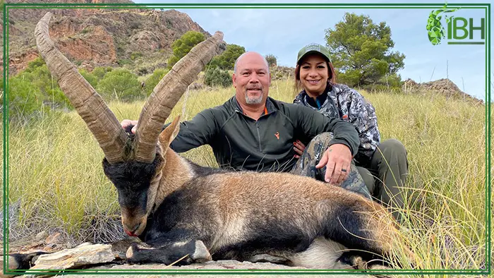 Southeastern ibex hunting trophy-Darren