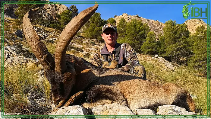 Daniel with Southeastern ibex hunting in Spain
