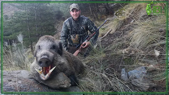 IberHunting's guide with wild boar trophy hunt in Spain