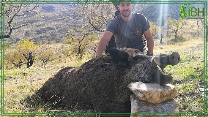 Sergio with wild boar trophy hunt in Spain
