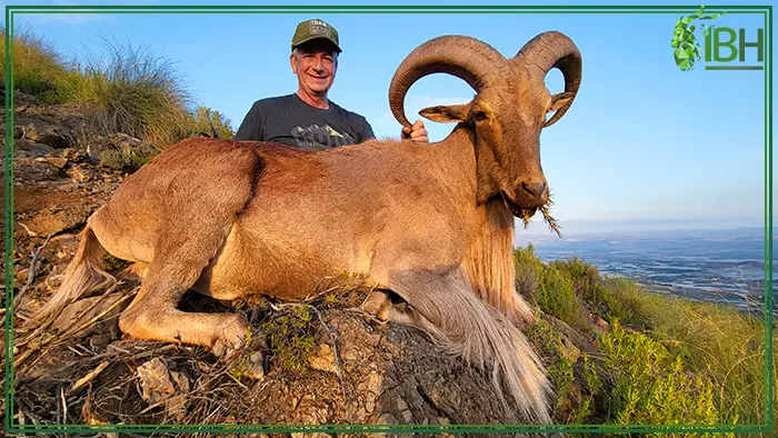 Dave happy with his aoudad sheep trophy hunting in Spain