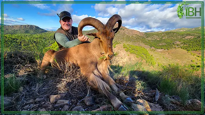 Hermann with his aoudad sheep trophy in Spain
