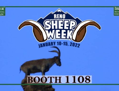 IberHunting at the Sheep Week 2022 virtual platform and in person!