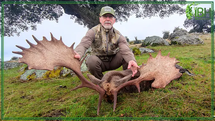 Curtis with his recent fallow deer hunting trophy in Spain
