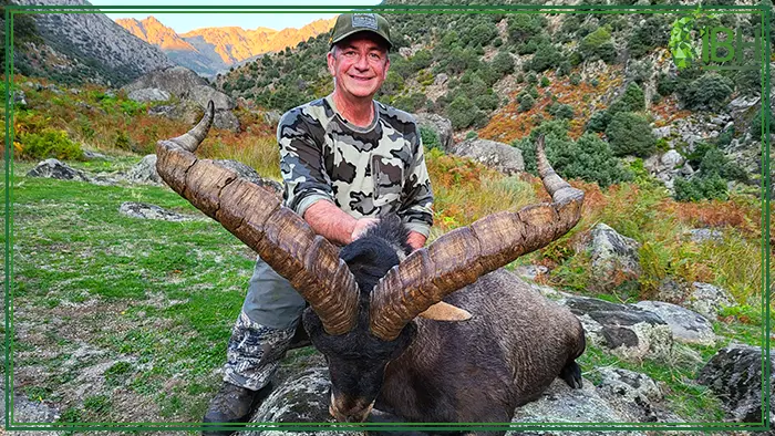 Hunter with Gredos ibex in Spain