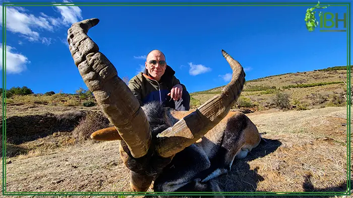 Walter and southeastern ibex hunting in Spain
