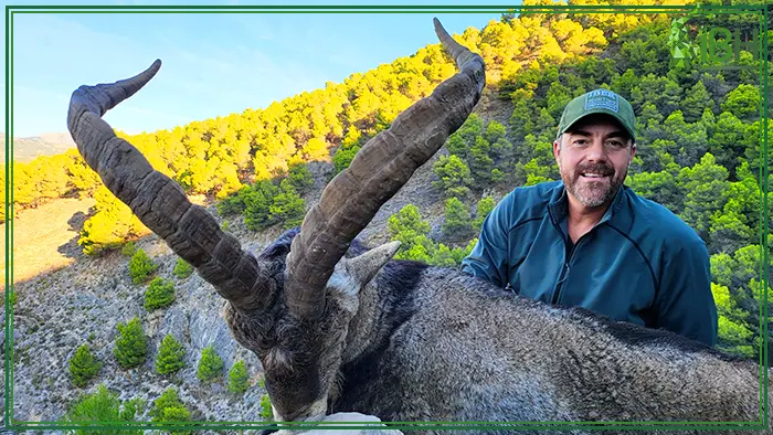 Our hunter Greg with trophy hunt of Ronda ibex in Spain