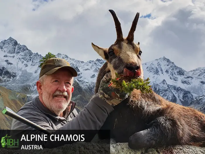 Hunting Alpine chamois in Austria
