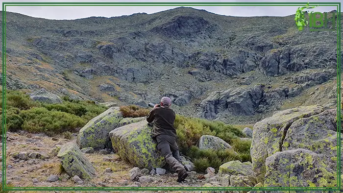 Hunter in the hunting are for Gredos ibex hunt in Spain