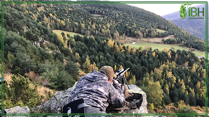 Hunter ready to shoot for Spanish Roe Deer hunt