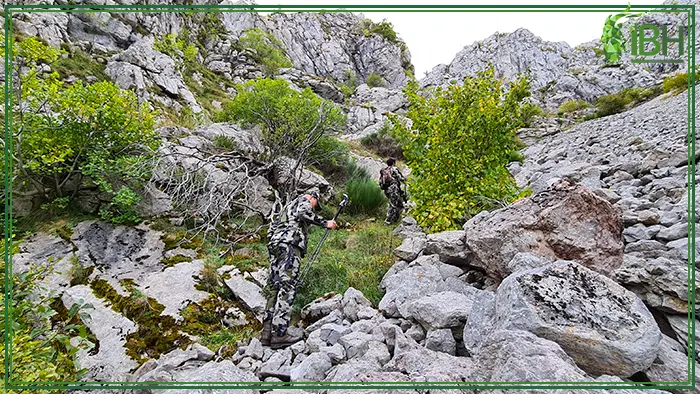 Hunters looking for cantabrian chamois