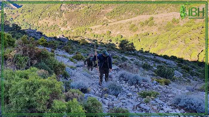 Two hunters hiking the mountain for hunting Ronda ibex in Spain