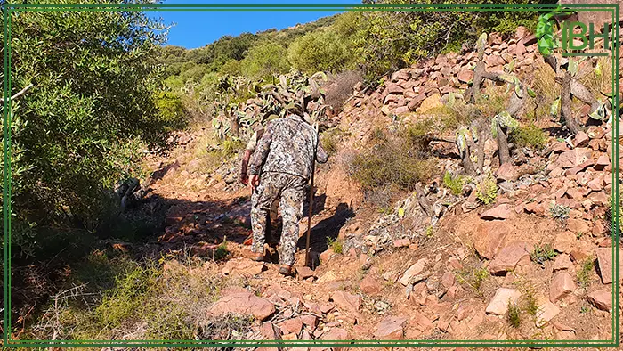 Hunter hiking the mountain for beceite ibex hunt