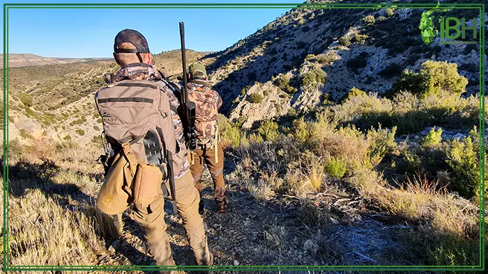 Hunter looking for Beceite ibex to hunt in Spain