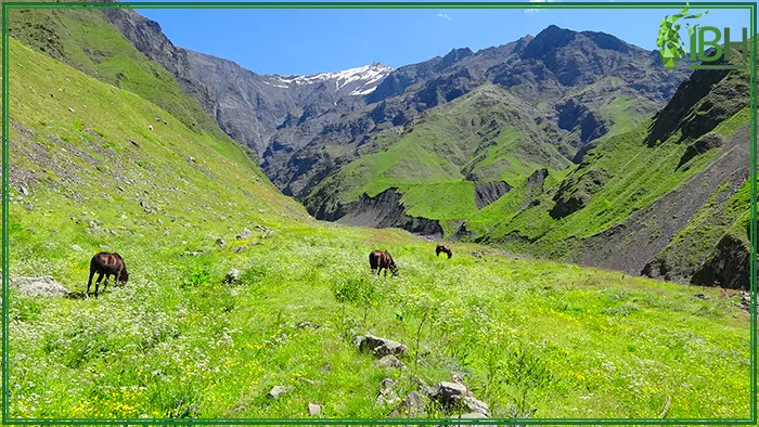 Landscape of the hunting area in Azerbaijan