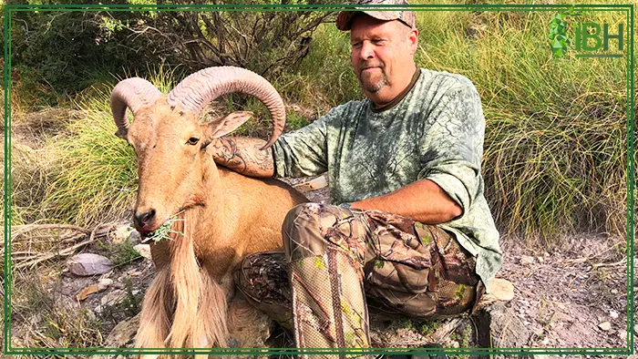 Mads with his Aoudad sheep hunting in Spain