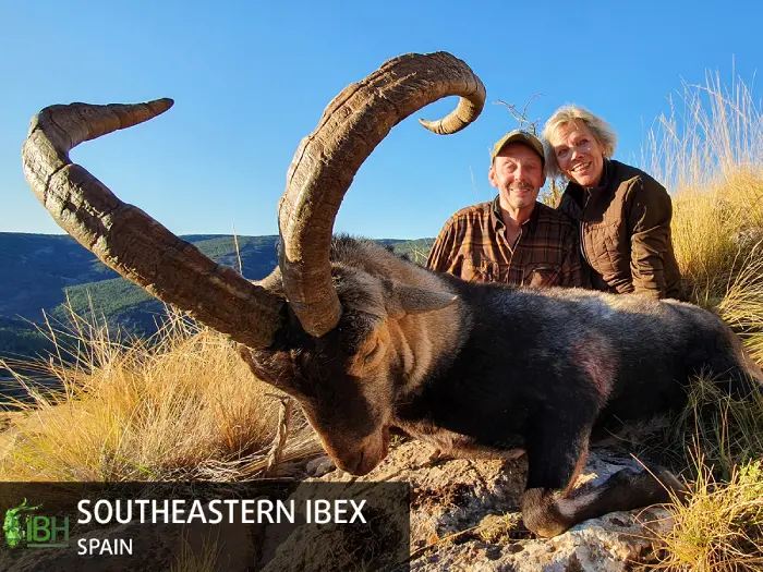 Southeastern ibex hunting trophy for the Capra World Slam