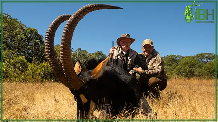Hunters with a Sable antelope hunting trophy  in Zambia