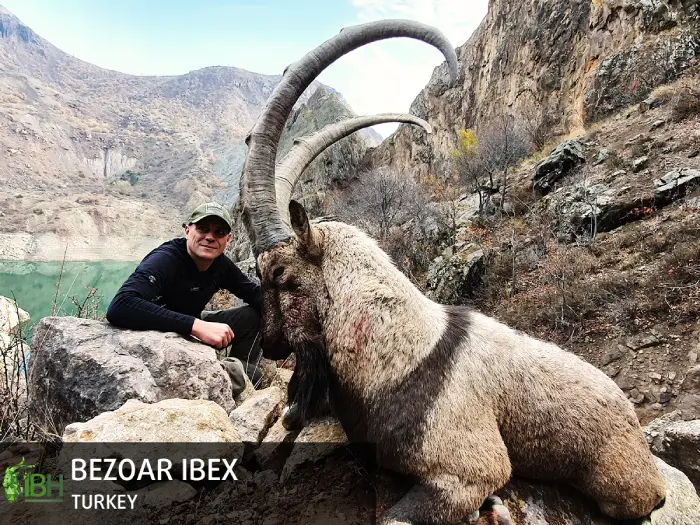 Hunting Bezoar ibex in Turkey for Capra World Slam