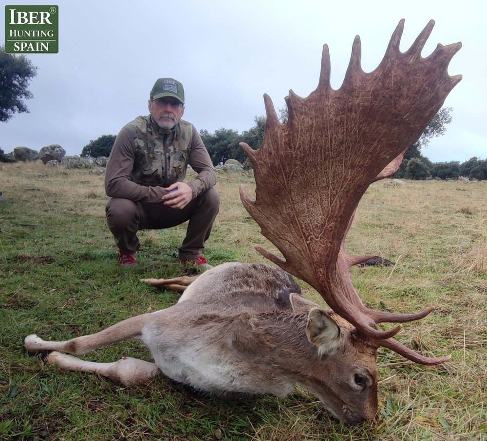 One of the largest deer hunting in Spain