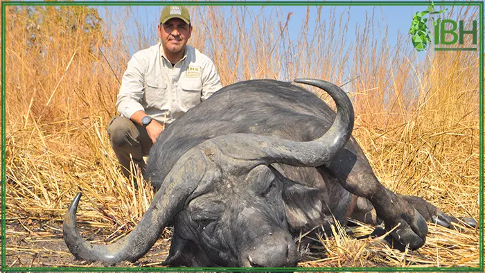 Antonio and Buffalo hunt in Zambia
