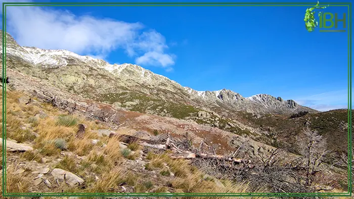 Views from the hunting area for Gredos ibex hunt