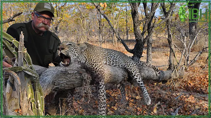 Hunter with his leopard hunting trophy in Zambia