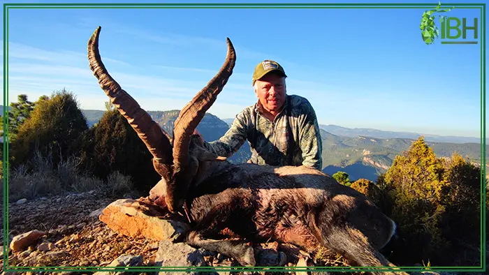 Spanish Beceite ibex hunt in Spain