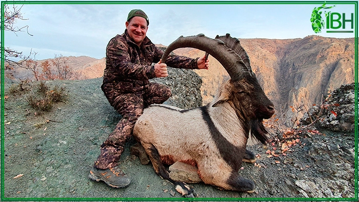 Hunting in Turkey Bezoar ibex