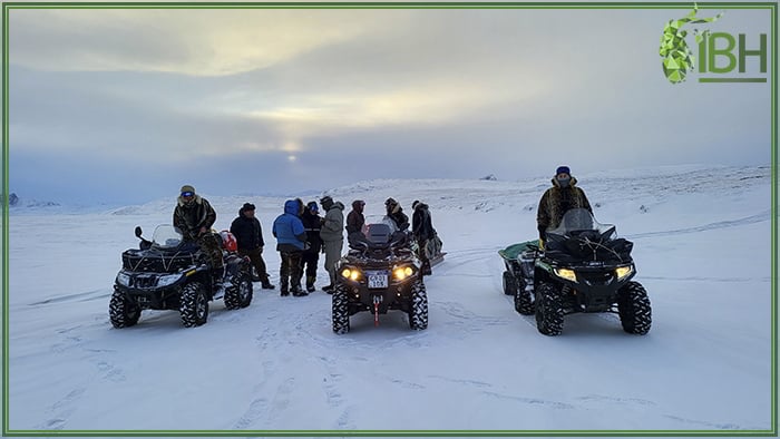 Enjoy sleigh ride in Greenland