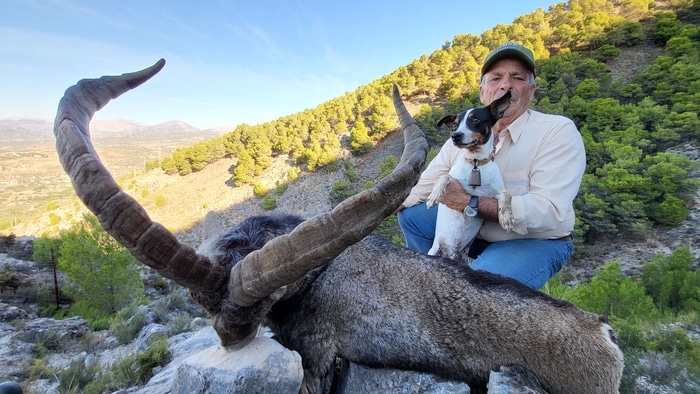 Hunting guide with a Ronda ibex 