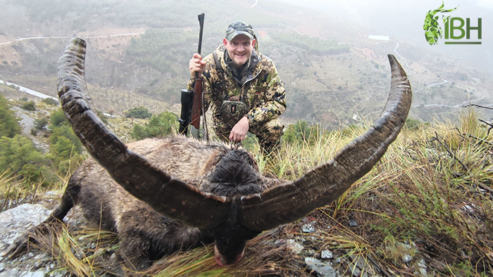 Hunter in spain hunting Sierra Nevada ibex