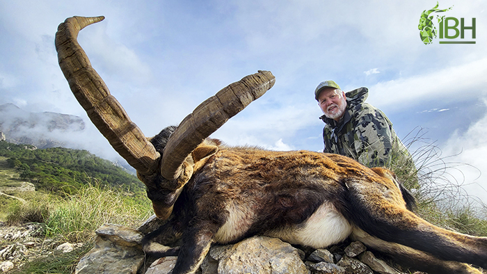 Hunting Ronda ibex in South Spain with IberHunting 