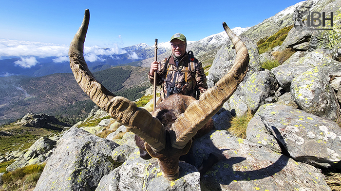 Hunting Gredos ibex in the north of Spain