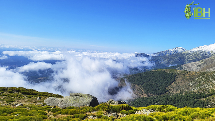 Image of the landscape of the hunting area for hunting Gredos ibex in Spain.