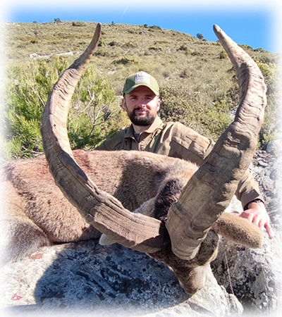 Hunting trophy Ronda ibex