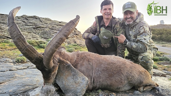 Hunting Spanish Southestern ibex in South Spain