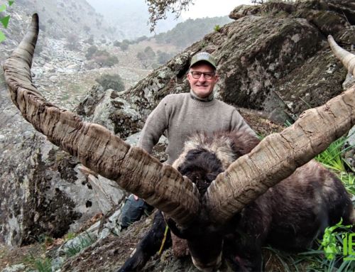 Gold Medal Ibex in Spain, a hunting trip with the best company