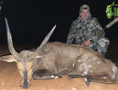Bushbuck hunting, the best hunt of my life