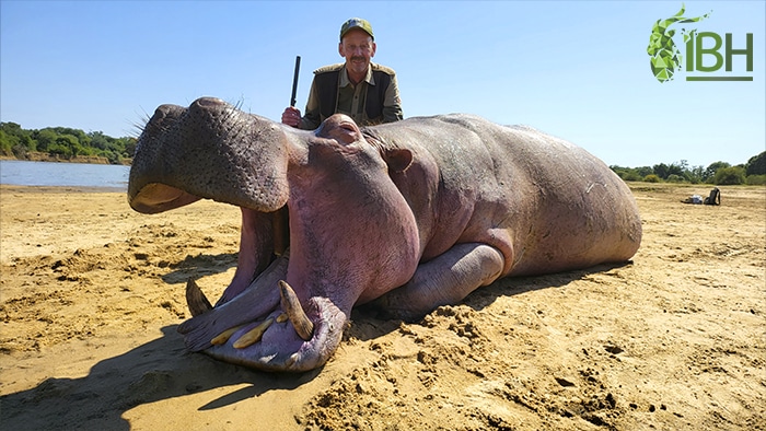 Hunter with his hippo trophy hunt in Zambia