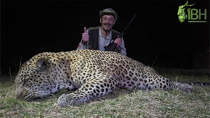 Hunter with his trophy hunt of leopard hunting in Zambia