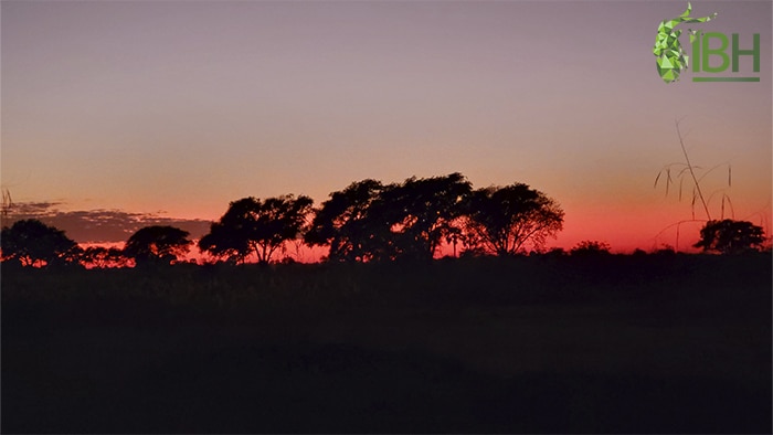 Sunrise in Zambia
