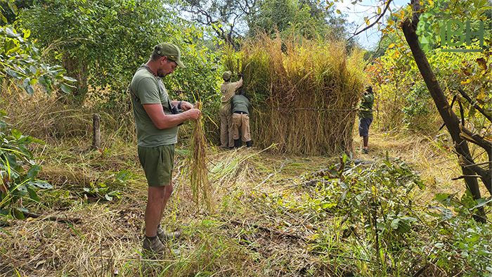 Blind for hunting leopard