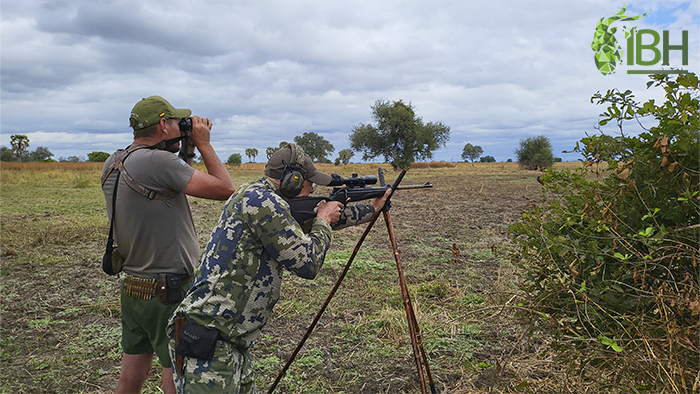 Hunter getting ready to shoot buffalo in Zambia