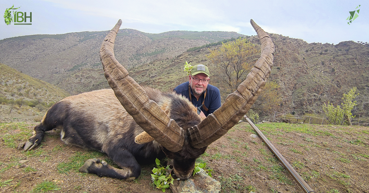 Last blog of hunting in Spain the Spanish Ibex Grand Slam