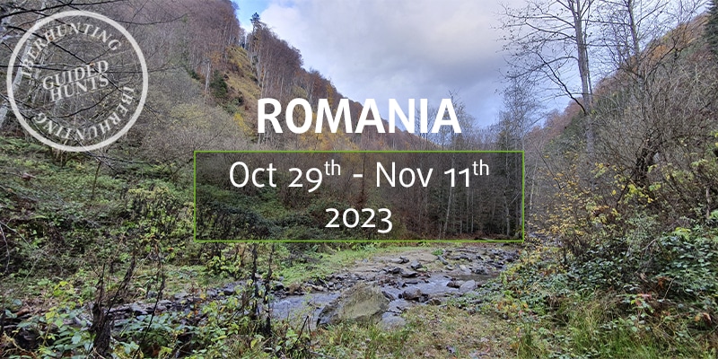 Join our group for hunting in Romania in our next guided hunt for chamois